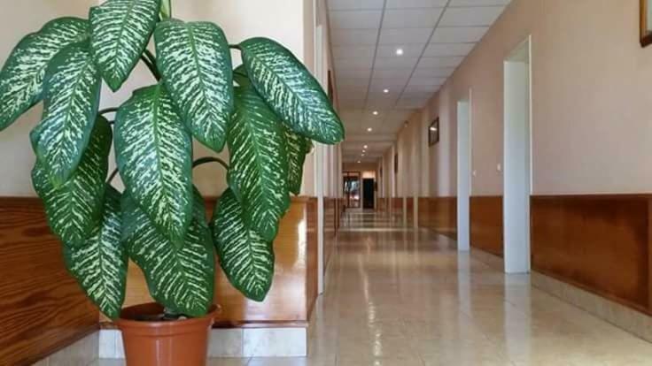 Aparthotel Santa Maria Beach Экстерьер фото